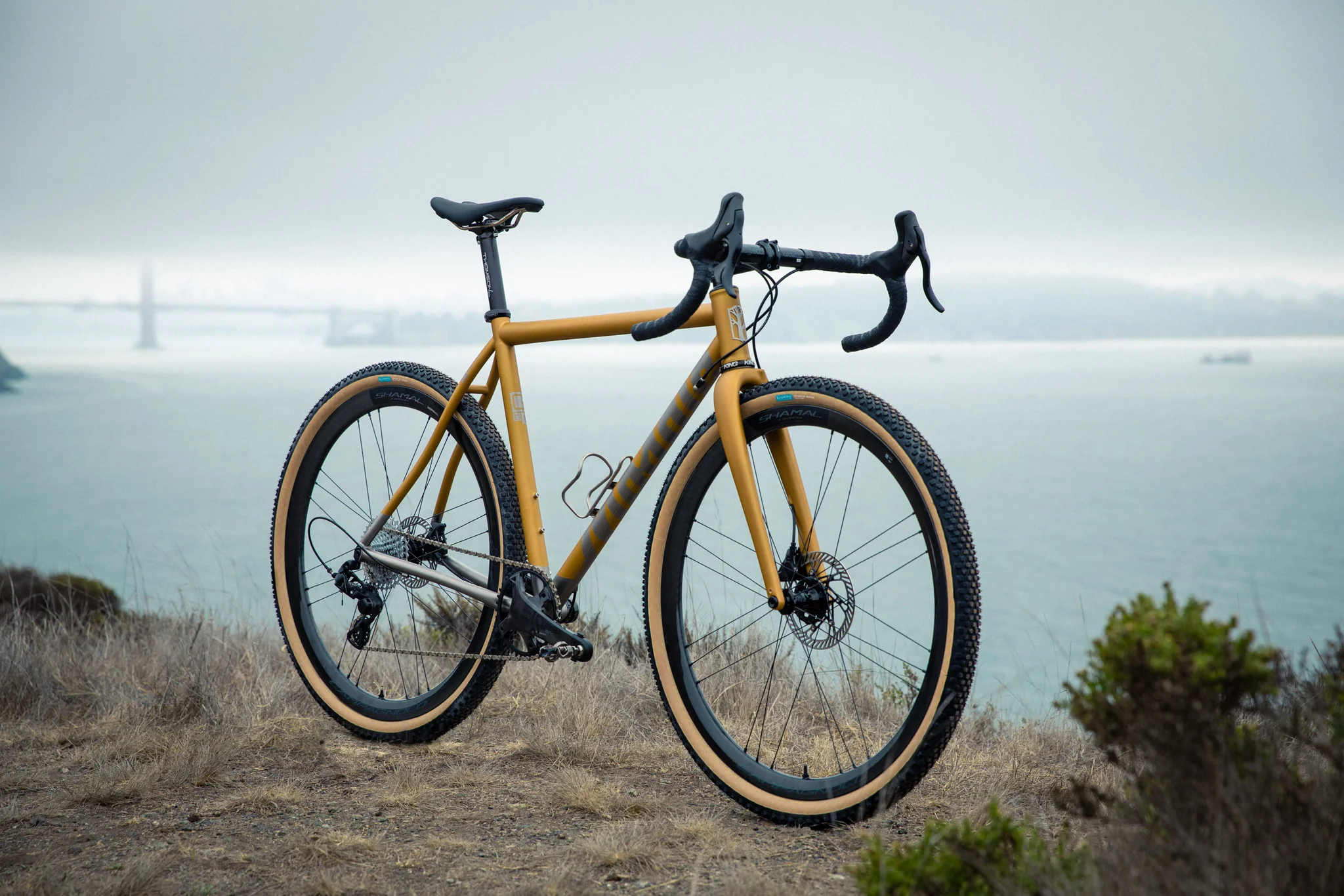 2020921 ac campagnolo ekar mosaic gt1 2048x.jpg